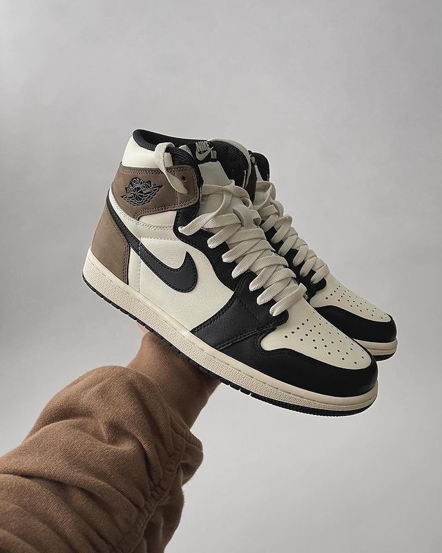 Nike Air Jordan 1s High Top