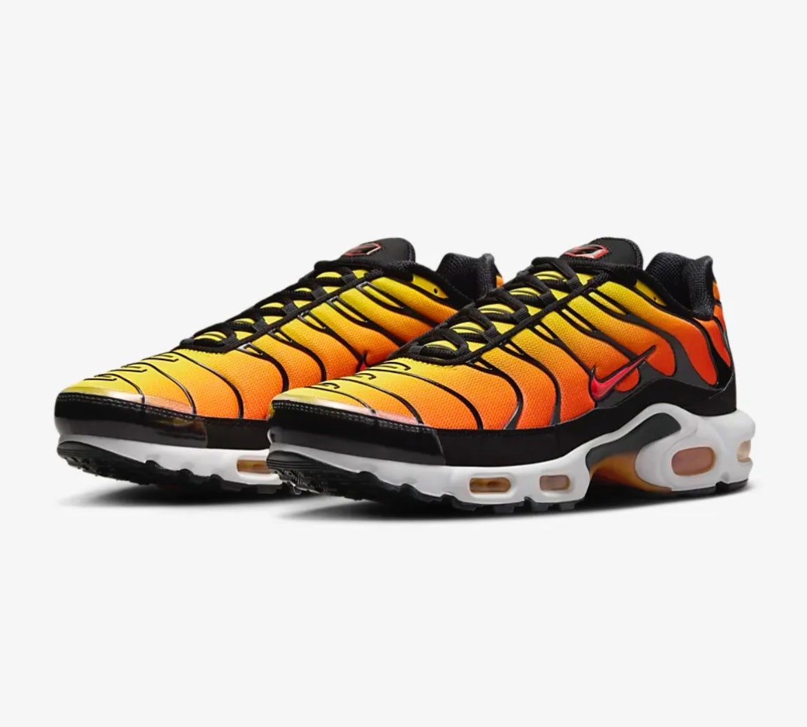 Nike air max plus
