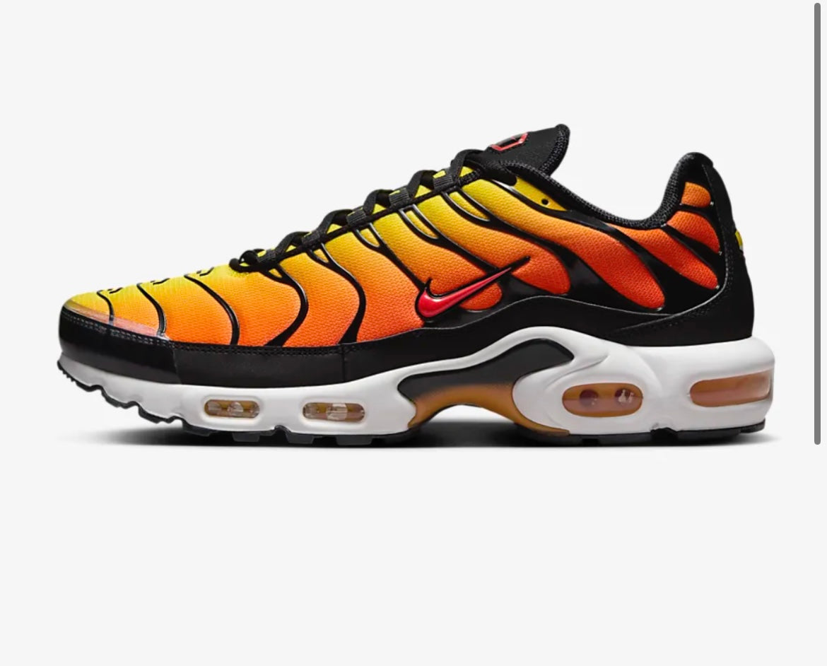 Nike air max plus