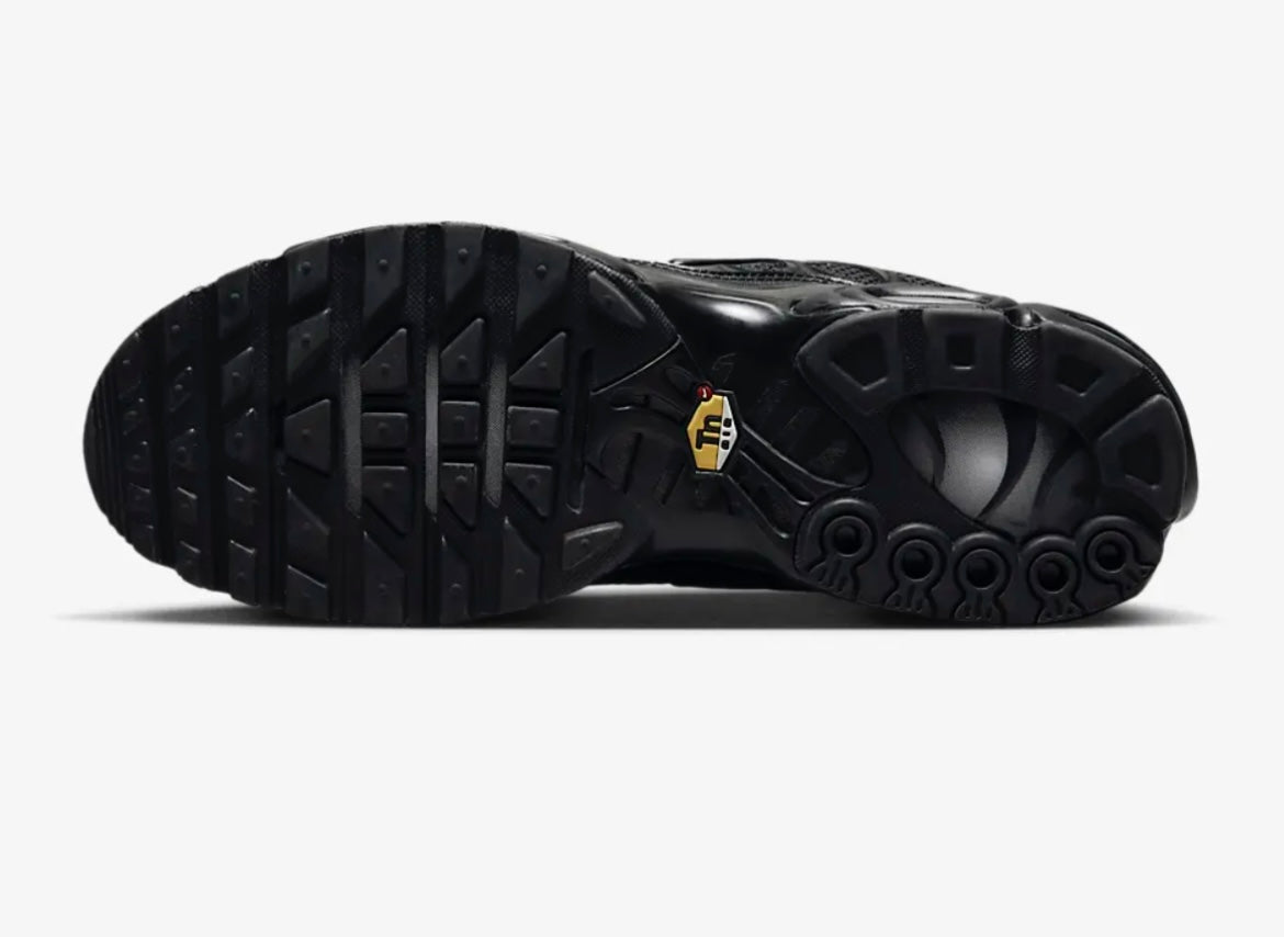 Nike air max plus tuned air