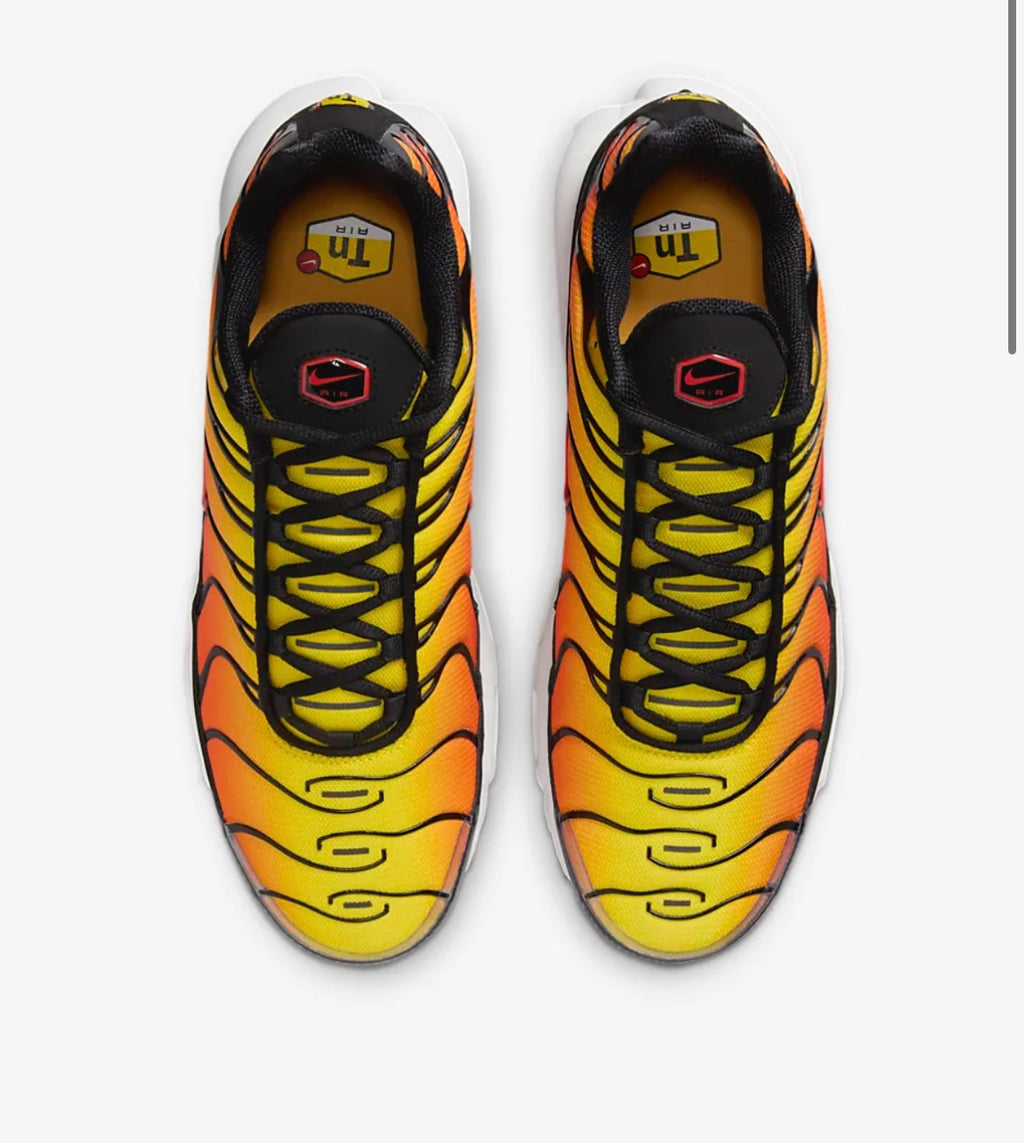 Nike air max plus